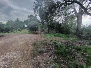 Residential Plot in Castellvell del Camp. Terreno para la vivienda de tus sueños