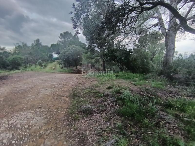 Foto 36b28368-f30a-4224-a599-5880d24d53c7. Terreno residenziale in Castellvell del Camp