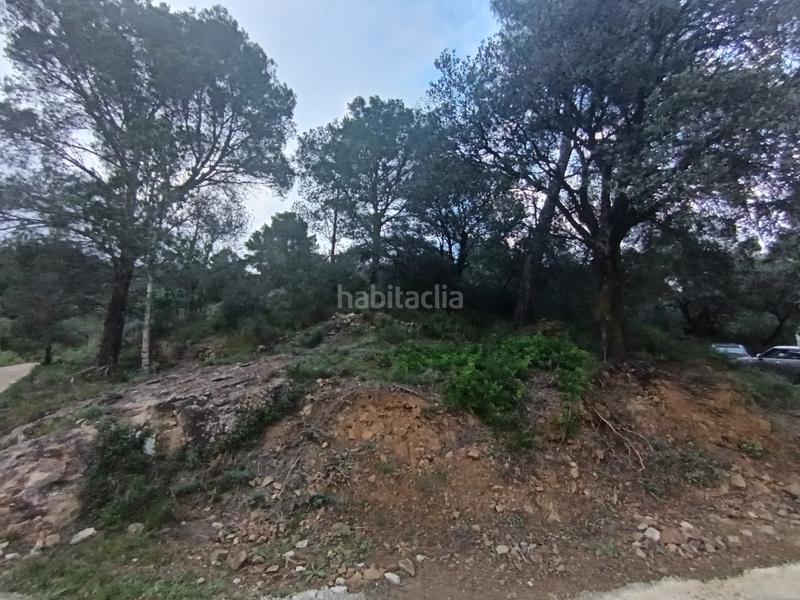 Foto 3cd54f4f-85fa-4cbe-8150-58e10ecb8242. Terreno residenziale in Castellvell del Camp