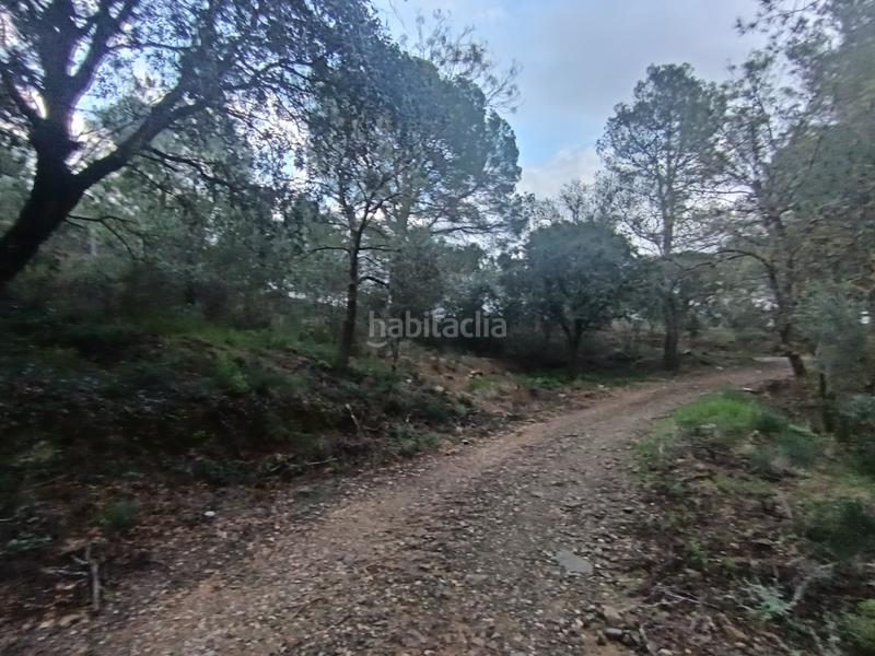 Foto 6fa22984-7e7e-41d8-a66d-97eb4b6d58c5. Terreno residenziale in Castellvell del Camp