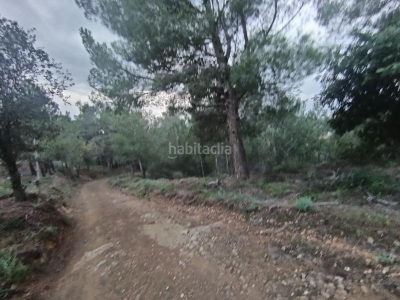 Foto a54c5fdb-1540-44d2-9de2-699afdc445e4. Terreno residenziale in Castellvell del Camp