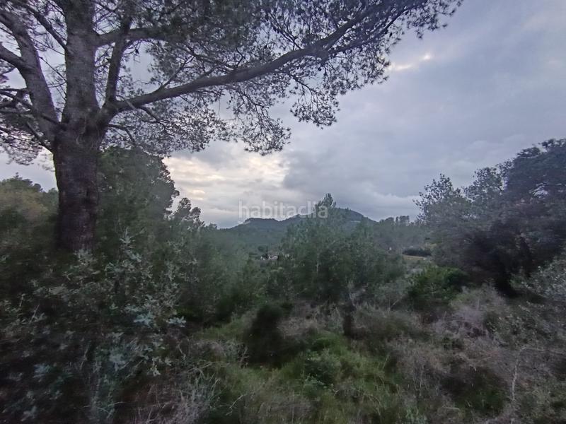 Foto b3d1265f-0096-4e41-afdf-a9aa04b2a922. Terreno residenziale in Castellvell del Camp