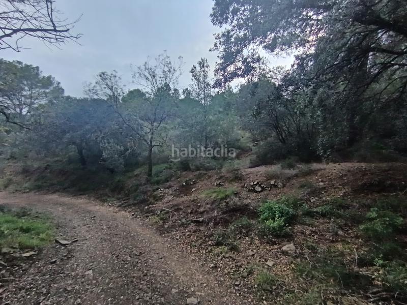 Foto c053225a-8aa9-40cc-99f3-8fa729045cf5. Terreno residenziale in Castellvell del Camp