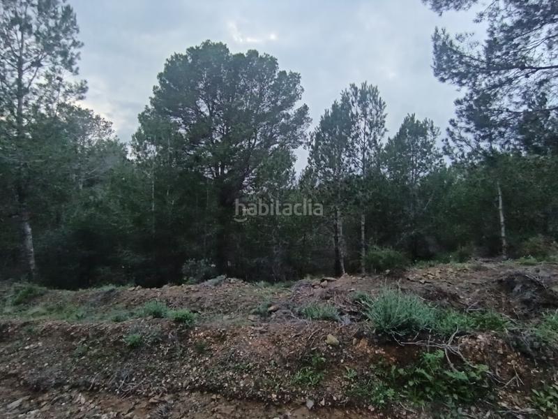 Foto fc57b575-a7c8-43d3-8775-10470db4fb30. Terreno residenziale in Castellvell del Camp