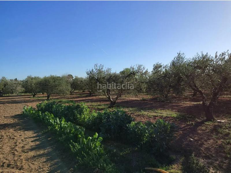 Foto 1829e204-d42b-477b-9f93-53148a482eb5. Terreny residencial a Llevant Reus