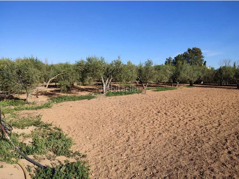 Foto 578ce2f3-8e31-492e-a621-d9c77c6fc1b3. Terreny residencial a Llevant Reus