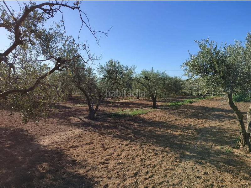 Foto 5baf5179-f27b-4ec1-8621-bdd65f4b8a03. Terreny residencial a Llevant Reus