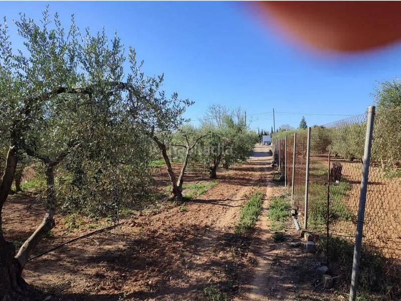 Foto 870f5b12-8253-4a07-871e-0d74ee894d90. Terreny residencial a Llevant Reus