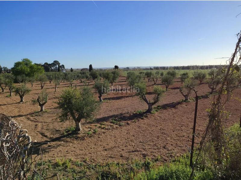 Foto ed96d630-6603-4275-b292-5708ea6c0496. Terreny residencial a Llevant Reus