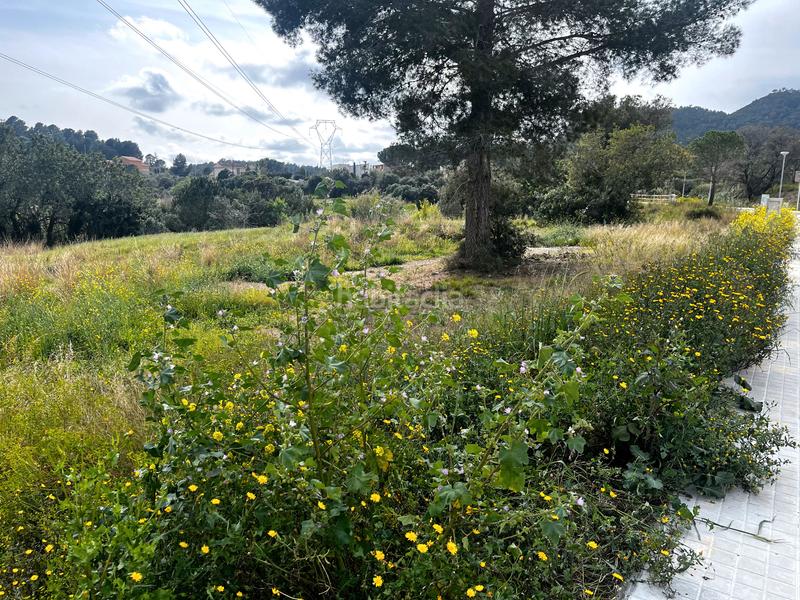 Foto 3b5331e4-3cab-42b7-ae73-7820ddd890dc. Terreno residenziale in Castellvell del Camp