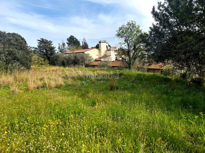 Foto 7c86a03c-2346-4aa9-8b5e-bb40059b939c. Terreno residenziale in Castellvell del Camp
