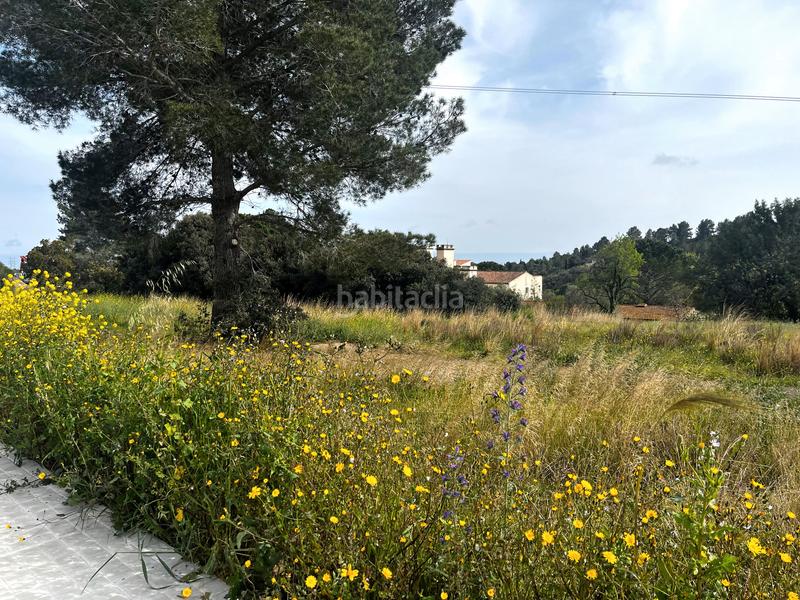 Foto 7fe2388c-eb61-4f47-8f1e-ffc57db6d095. Terreno residenziale in Castellvell del Camp