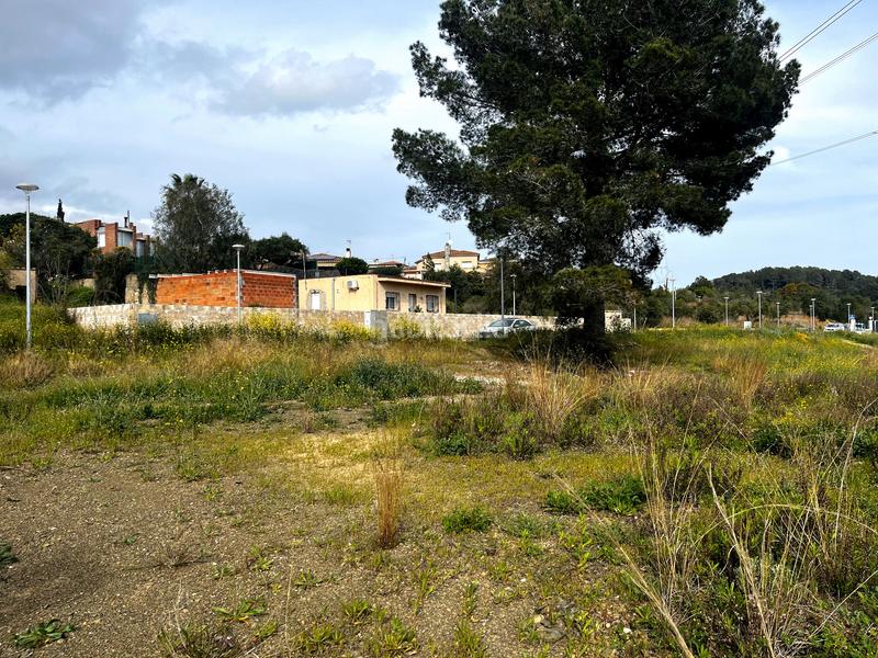 Foto 88555740-969e-4cca-a128-c66d5eecf12f. Terreno residenziale in Castellvell del Camp