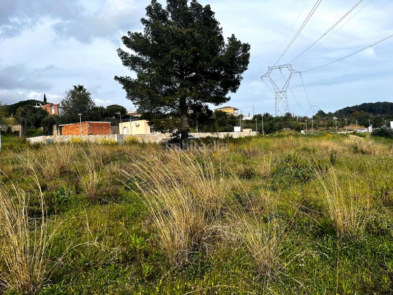 Foto c0169e73-1bd3-47b8-82e0-343393b56d81. Terreno residenziale in Castellvell del Camp