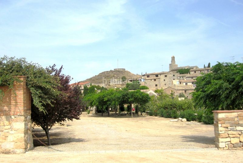 Foto 292a79e3-dcd7-4b68-b922-6b557ab398f5. Rural plot in Vallbona de les Monges