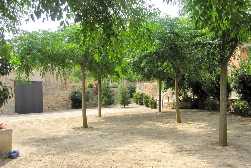 Foto 2adc18bd-5c41-4717-bd31-09275bf38209. Rural plot in Vallbona de les Monges