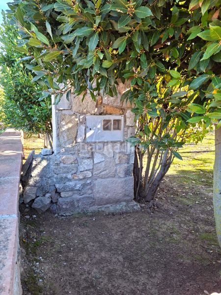 Foto 3192f798-0890-4d29-bdf8-0891680c52c2. Rural plot in Vallbona de les Monges