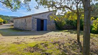 Rural plot in Vallbona de les Monges