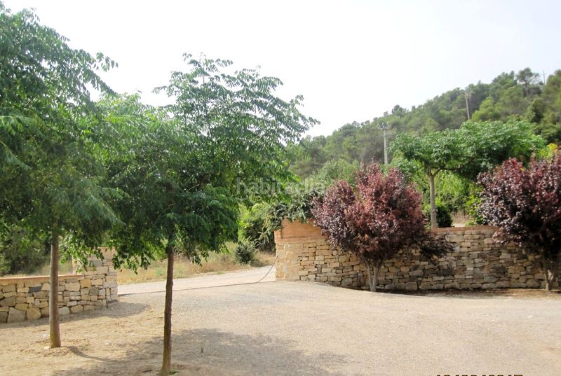 Foto 704147b0-0940-49b5-b464-09bcd29b4d03. Rural plot in Vallbona de les Monges