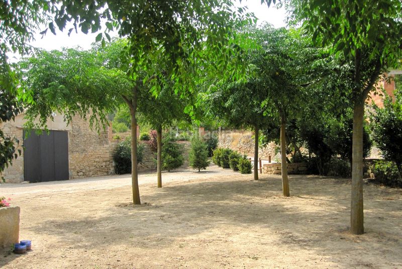 Foto c66c13ed-4430-4a50-a36c-f9e7e6f974f9. Rural plot in Vallbona de les Monges