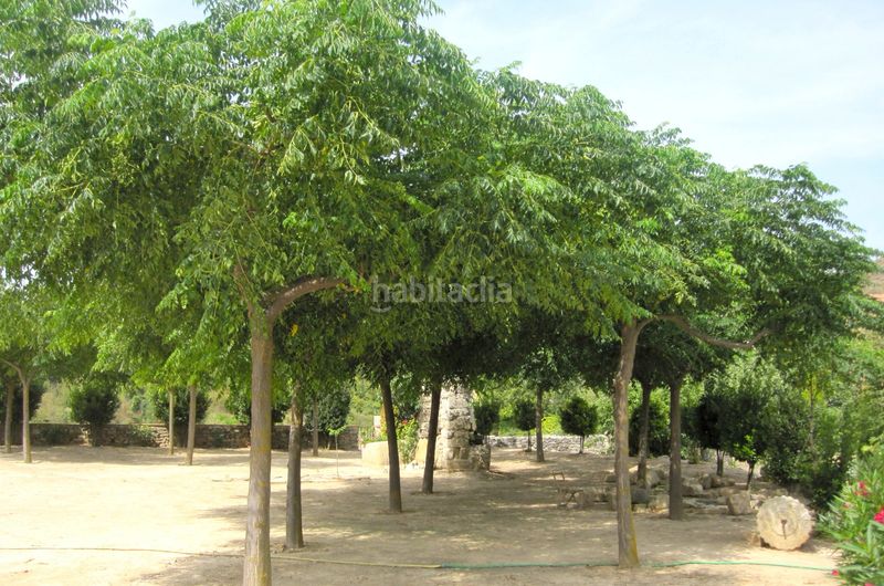 Foto c8ee50ad-1bbf-4692-9d40-c62258616ef5. Rural plot in Vallbona de les Monges