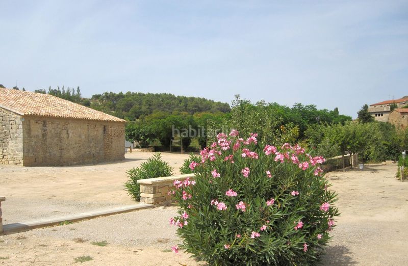 Foto cda1f8b2-17cb-4b23-a65b-87b0e05bc147. Rural plot in Vallbona de les Monges