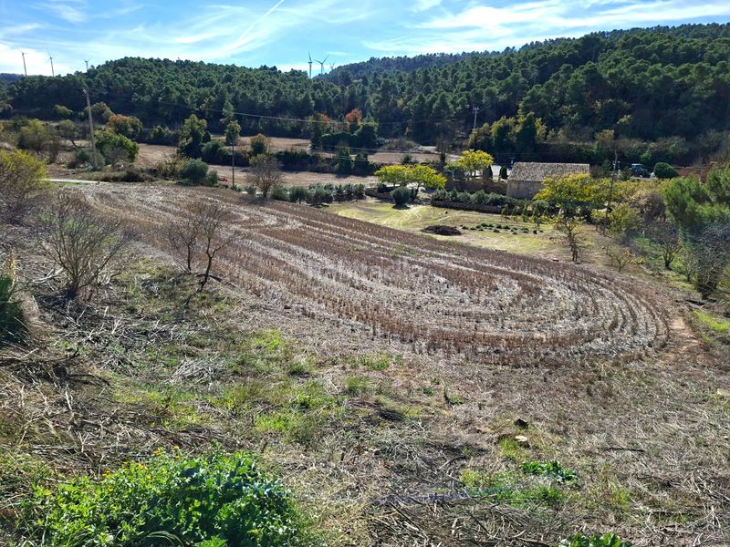 Foto e319af31-19f0-430d-8576-719ea7989a41. Rural plot in Vallbona de les Monges