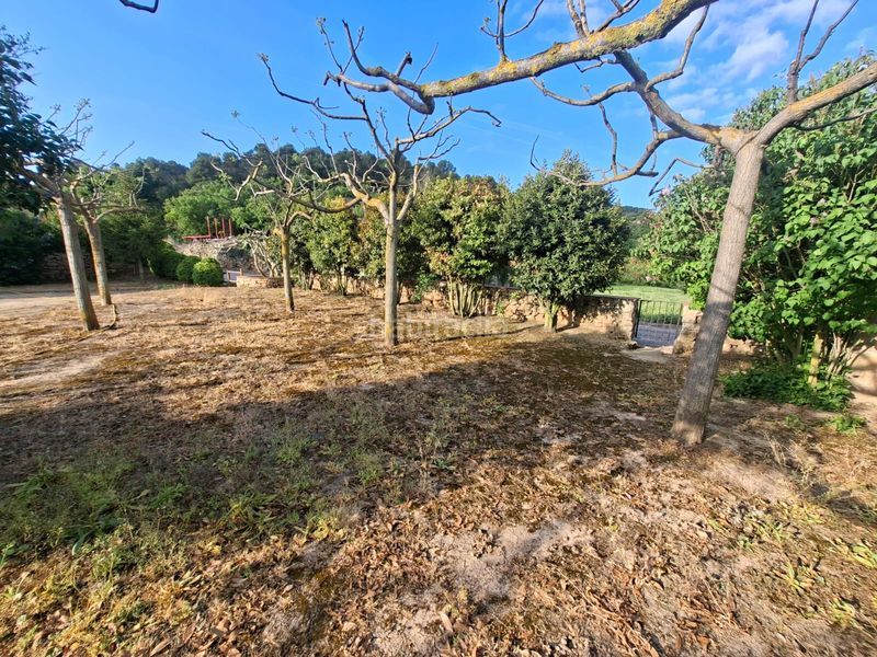 Foto 793a2a10-ea99-4a35-b670-b332ee5fb7d2. Finca rústica en Vallbona de les Monges