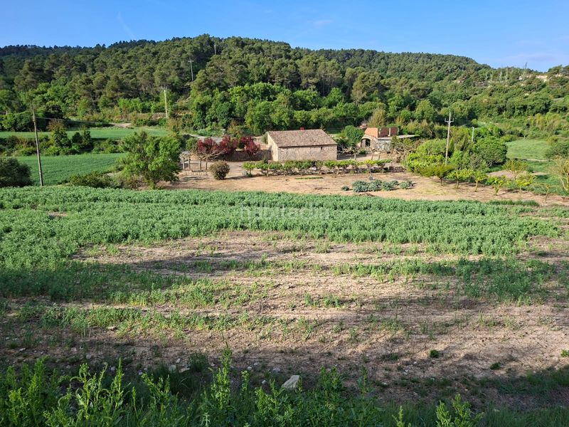 Foto 7cd71581-d60c-4c48-87e8-46c3a1a7055b. Finca rústica en Vallbona de les Monges