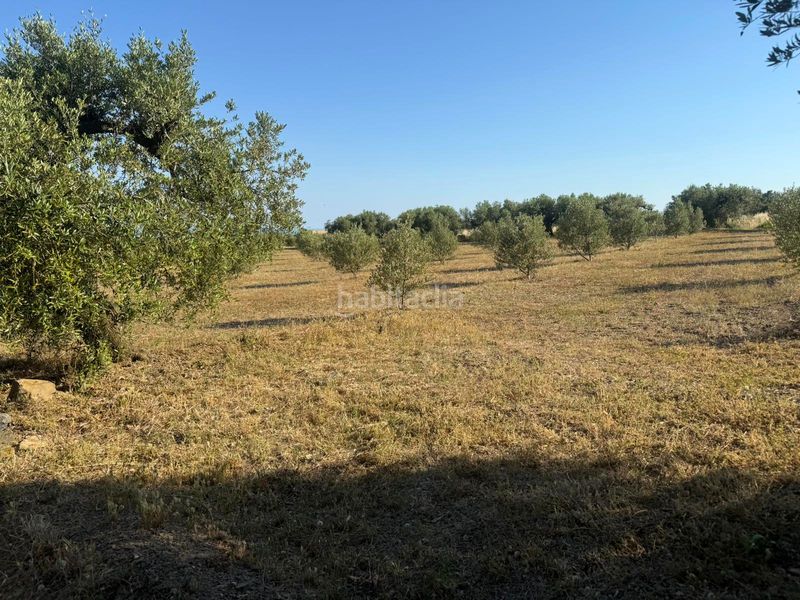 Foto b240dd79-b168-4333-9184-417f2befc42a. Finca rústica a Selva del Camp (La)