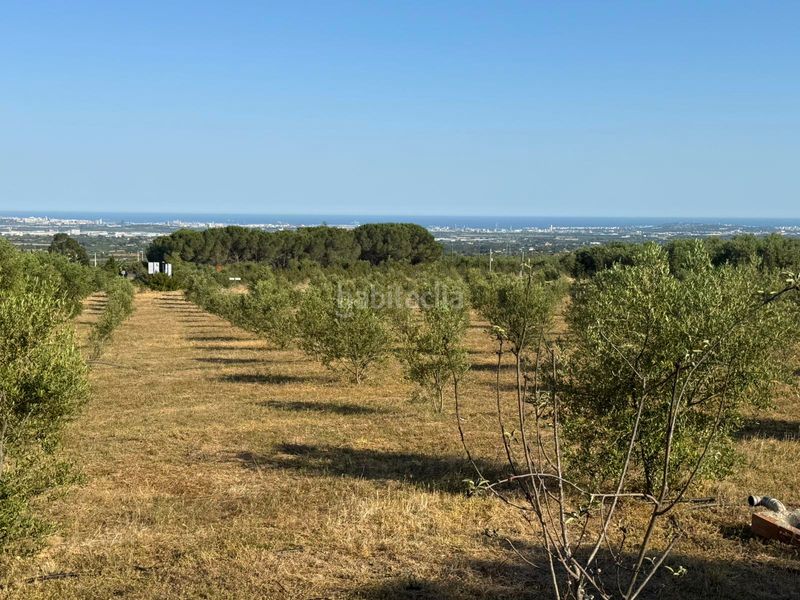 Foto dd1ac034-c715-496e-bb71-5d8f735e92b7. Finca rústica a Selva del Camp (La)