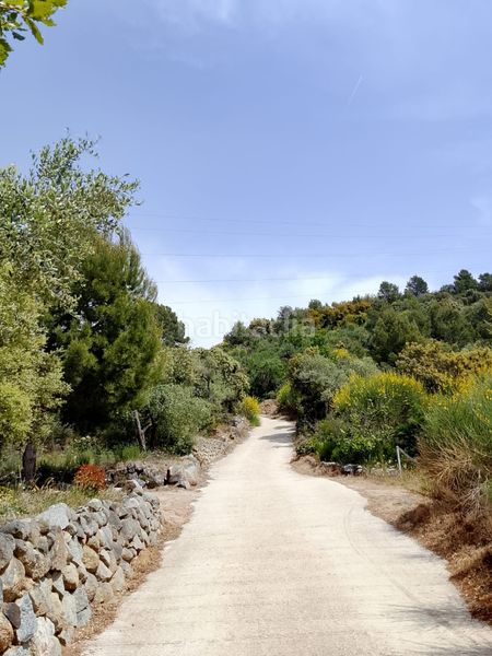 Foto cdda3725-7f0b-49f2-9d6e-8ccff3e05891. Lloguer finca rústica a Vilaplana
