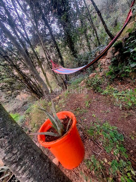 Foto 6c008f0a-5836-4506-a3b3-d1b7e6fe93db. Alquiler finca rústica en Aleixar (L´)