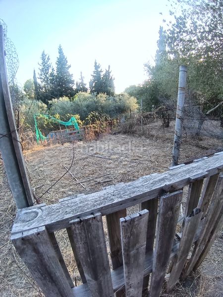 Foto a58f6cbb-beae-493f-9630-6bb686ce69ae. Masía en Aleixar (L´)