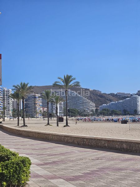 Foto ce7eb4aa-8ce2-41bd-a346-bf77a4c4db5e. Traspàs local comercial a Racó Cullera
