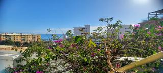 Pis a El Bajondillo. Con licencia touristic