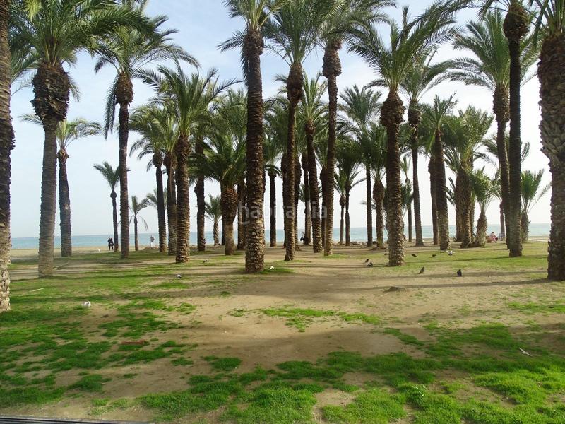 Foto 08951ecb-dfc7-4148-9698-bfee9780043b. Studiowohnung mit pool in La Carihuela - Los Nidos Torremolinos