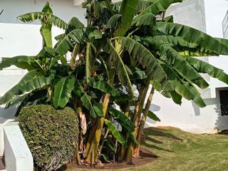 Piccolo appartamento in Loma de los Riscos