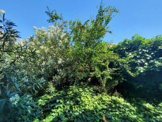 Residential Plot in La Colina. Vive o invierte junto al mar