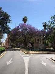 Pis a El Molinillo - Capuchinos