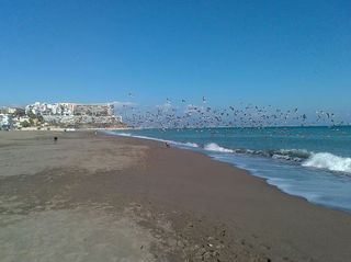 Lloguer Apartament a Montemar. Alquiler larga temporada
