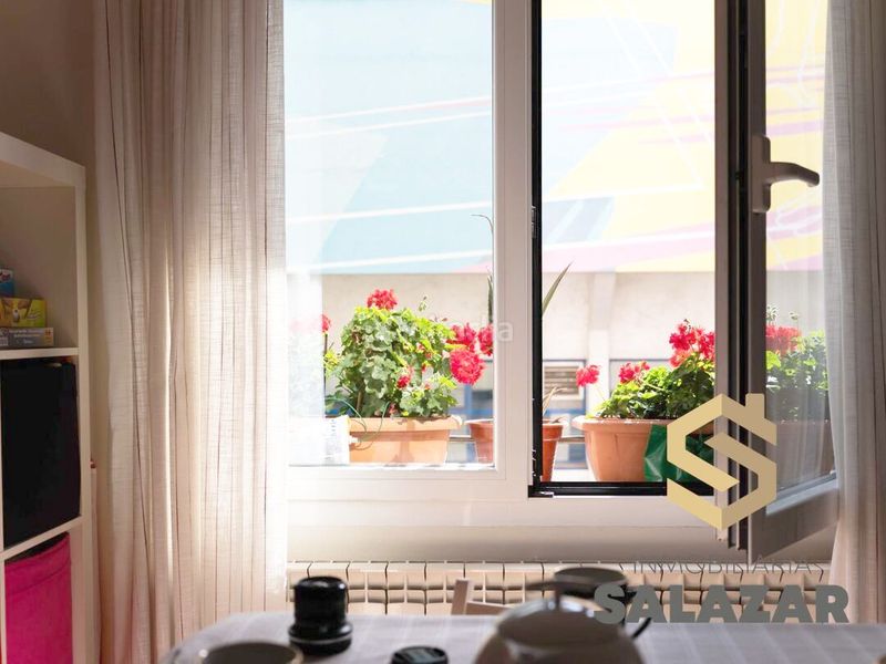 Foto 0cf0b73f-8a9a-4838-aab6-a49b7320bb4a. Pis a Ametzola Bilbao