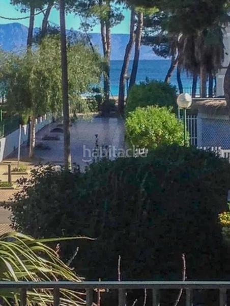 Foto 1b16d7c8-57d7-4d7e-b1ae-03d472d9d970. Penthouse with parking in port d´Alcúdia-platja dálcúdia Alcúdia