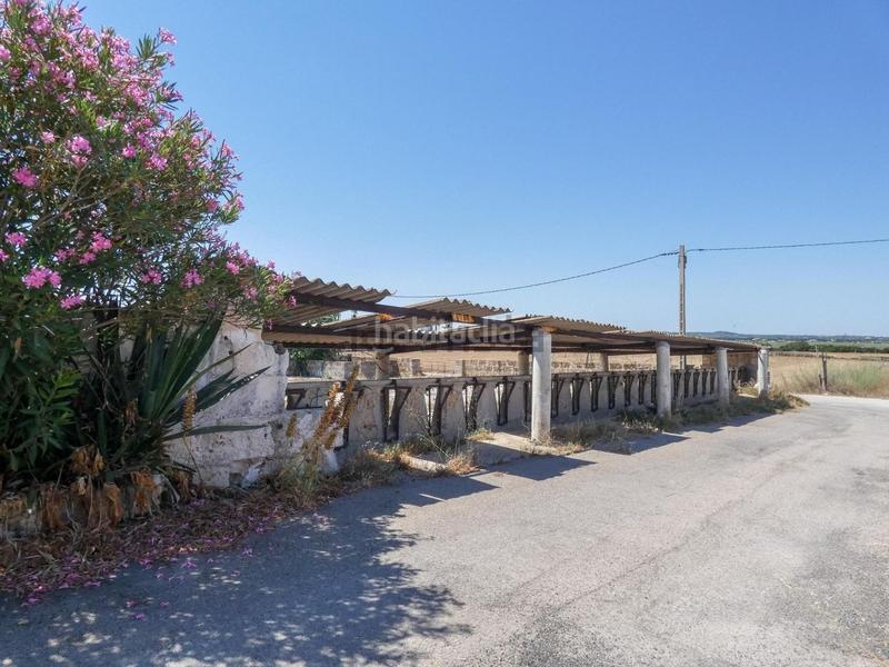 Foto 342d276a-1413-43e5-b2a0-25105303bd65. Masia amb piscina a Muro