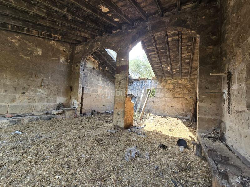 Foto 0ed46951-a920-45b6-832e-251f7c4a2c48. Bauernhof in Son Gual Palma de Mallorca