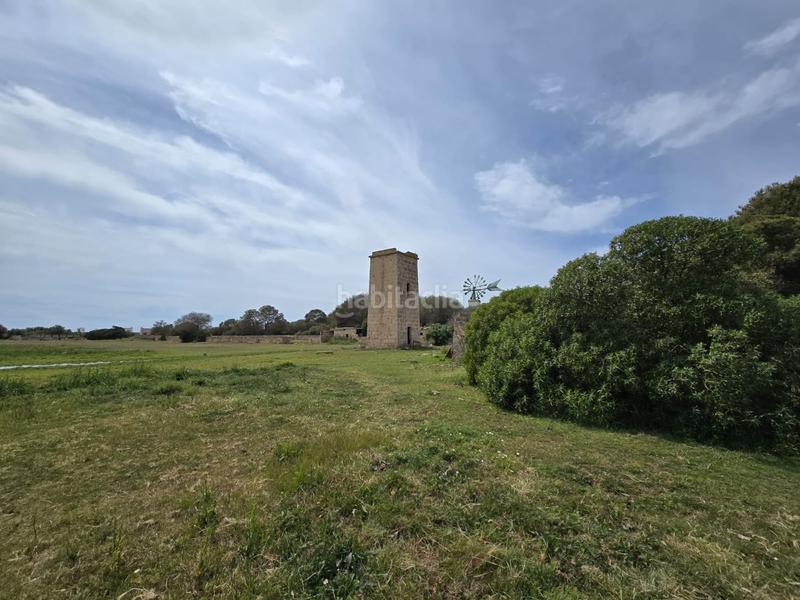 Foto 18dc916c-da88-49bf-9fc0-b65296ad36d5. Bauernhof in Son Gual Palma de Mallorca