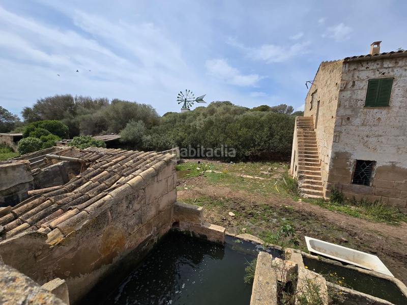 Foto 21973d23-d80a-4bc0-9f5f-ddc99d03f047. Bauernhof in Son Gual Palma de Mallorca