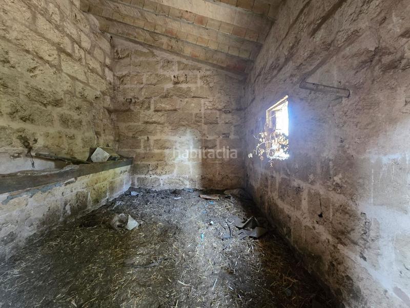 Foto 27a79200-f696-4a9f-bdb7-87bbb5ebbf7c. Bauernhof in Son Gual Palma de Mallorca