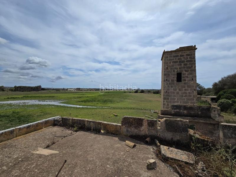 Foto 2de9375d-b724-4af6-968a-27ddd564f13a. Bauernhof in Son Gual Palma de Mallorca