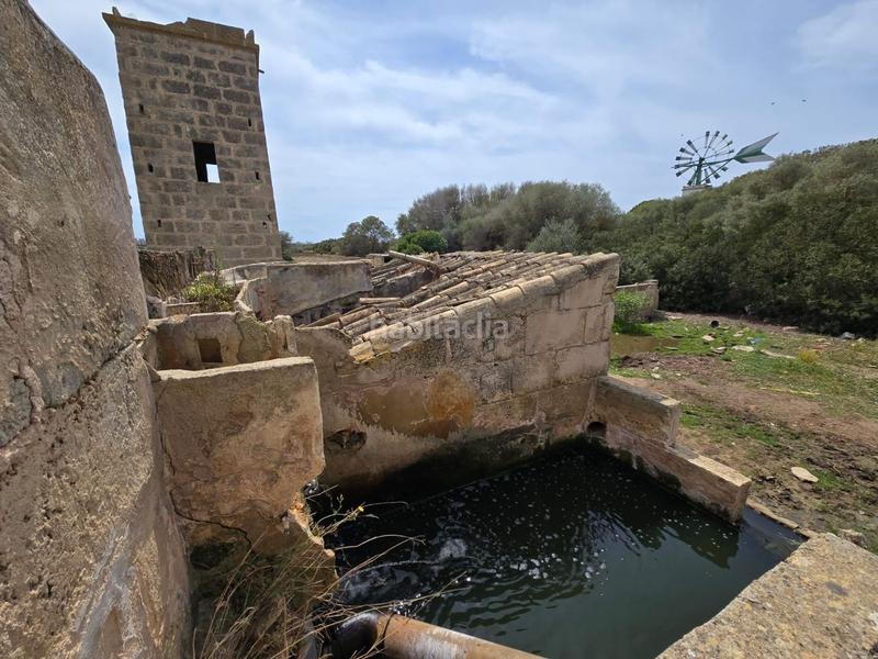 Foto 2e7ba877-8729-41fd-b4f9-298b41422cb4. Bauernhof in Son Gual Palma de Mallorca